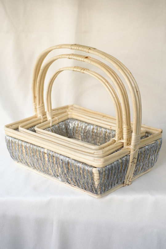 
                      
                        Rectangle Cane Silver Basket 
                      
                    
