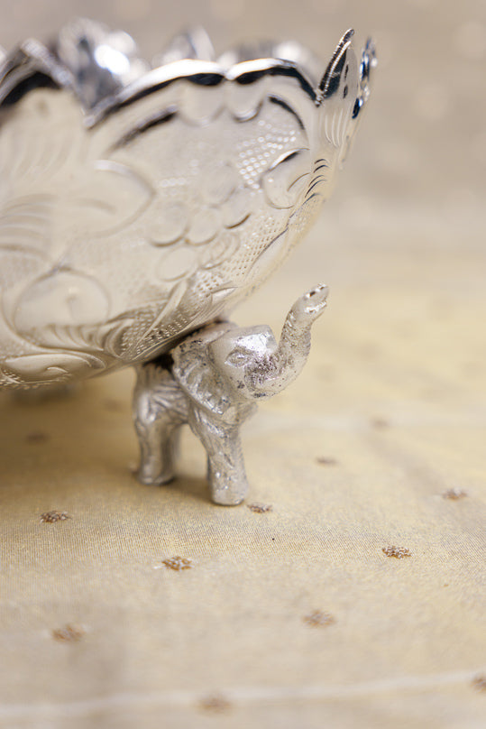 
                      
                        Gaj Decorative Urli
                      
                    