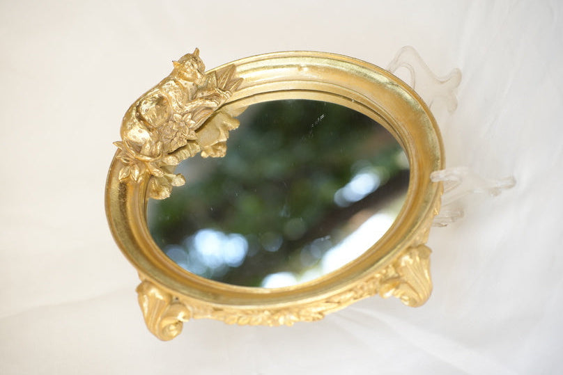 
                      
                        Metal Leopard Mirror Tray
                      
                    