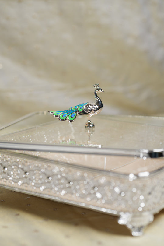 
                      
                        Peacock German Silver Square Glass Box
                      
                    