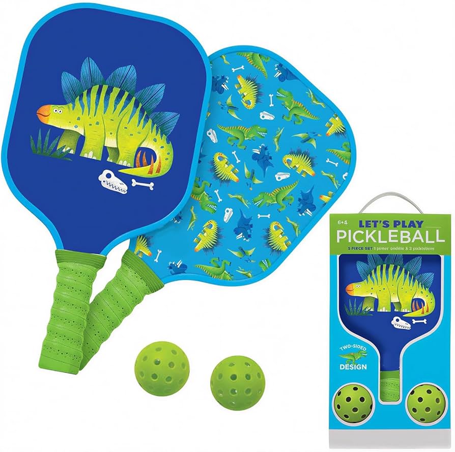 Pickleball Paddle Set with 2 Balls
