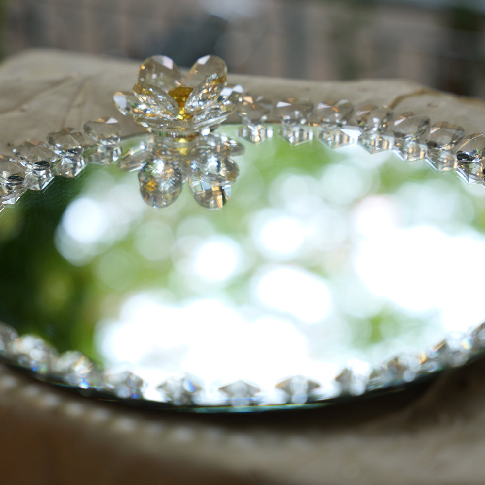 
                      
                        Crystal Rotating Base Stand
                      
                    