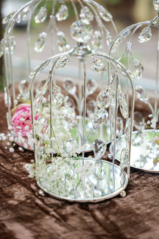 
                      
                        Silver Crystal Embellished Birdcage Domes (Set)
                      
                    