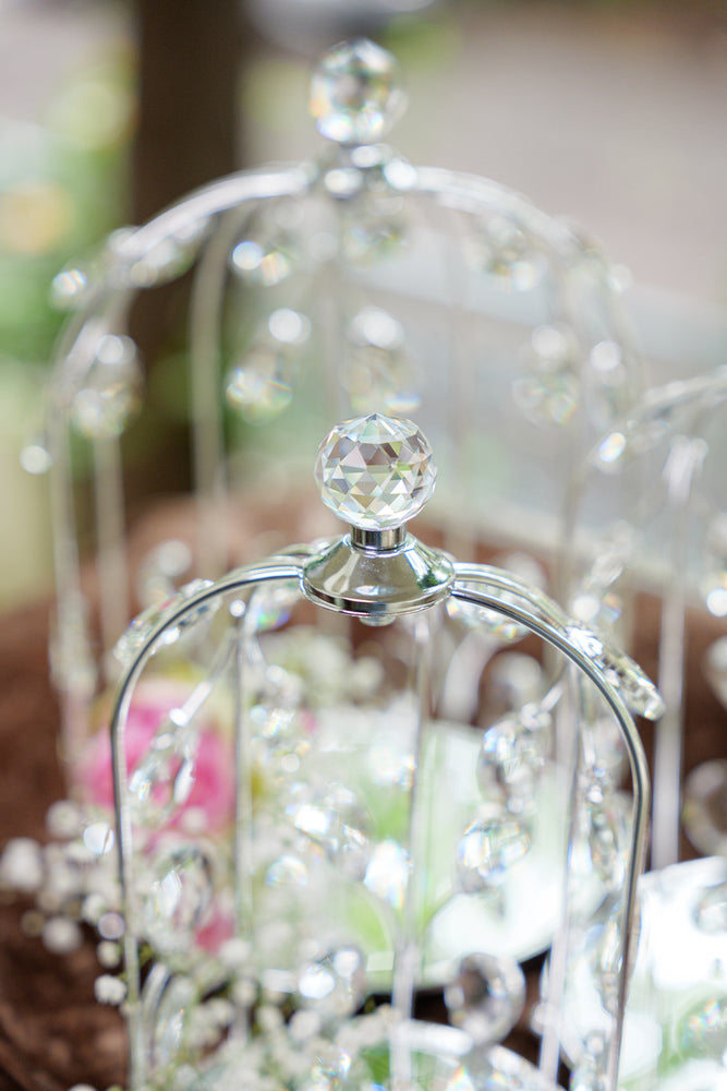 
                      
                        Silver Crystal Embellished Birdcage Domes (Set)
                      
                    