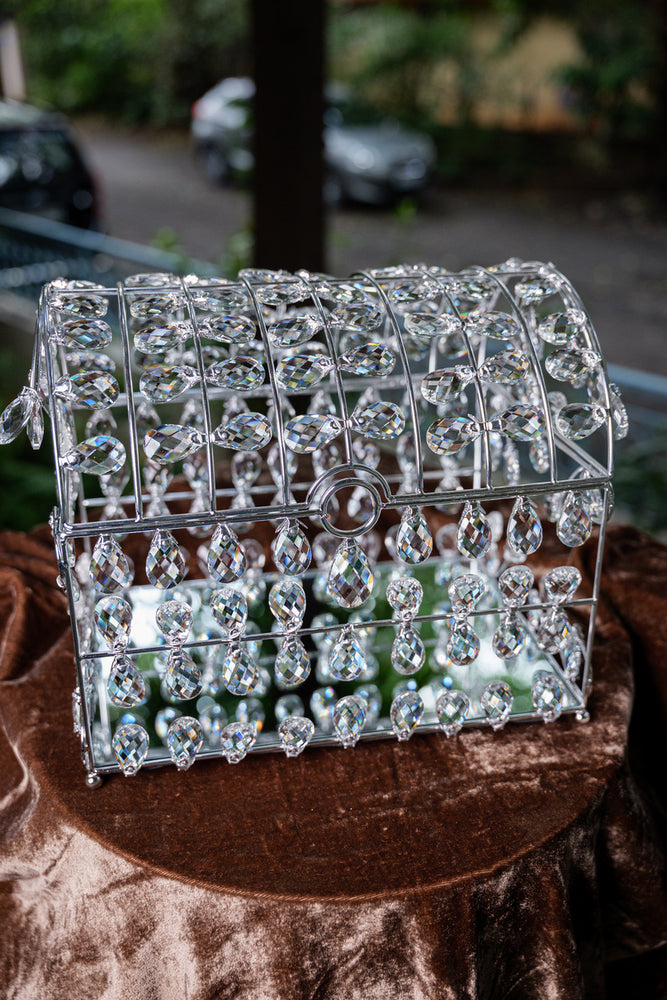 Silver Crystal Treasure Box
