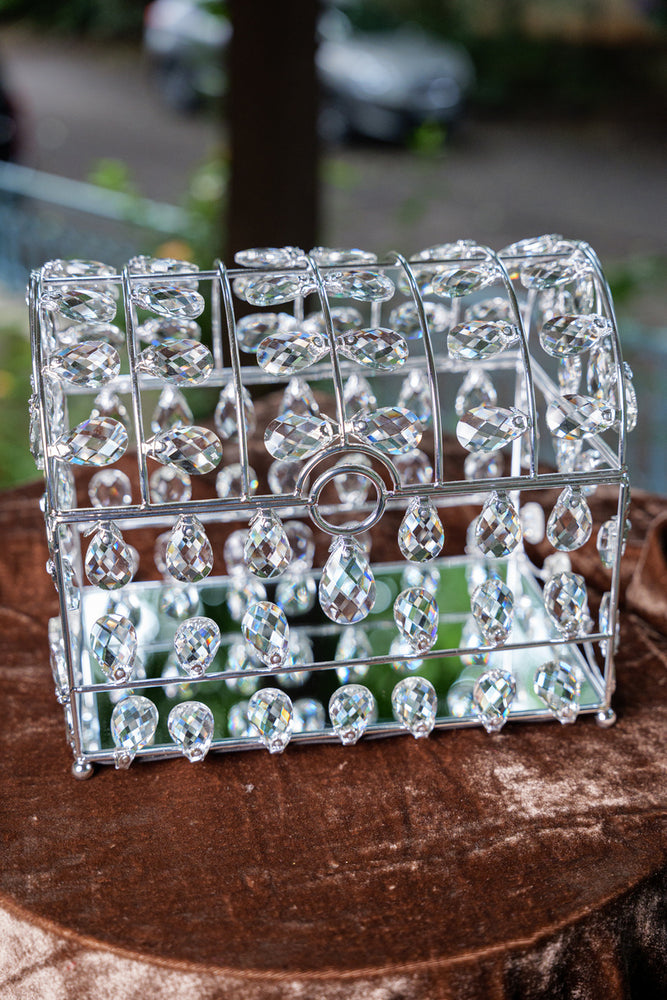 
                      
                        Silver Crystal Treasure Box
                      
                    