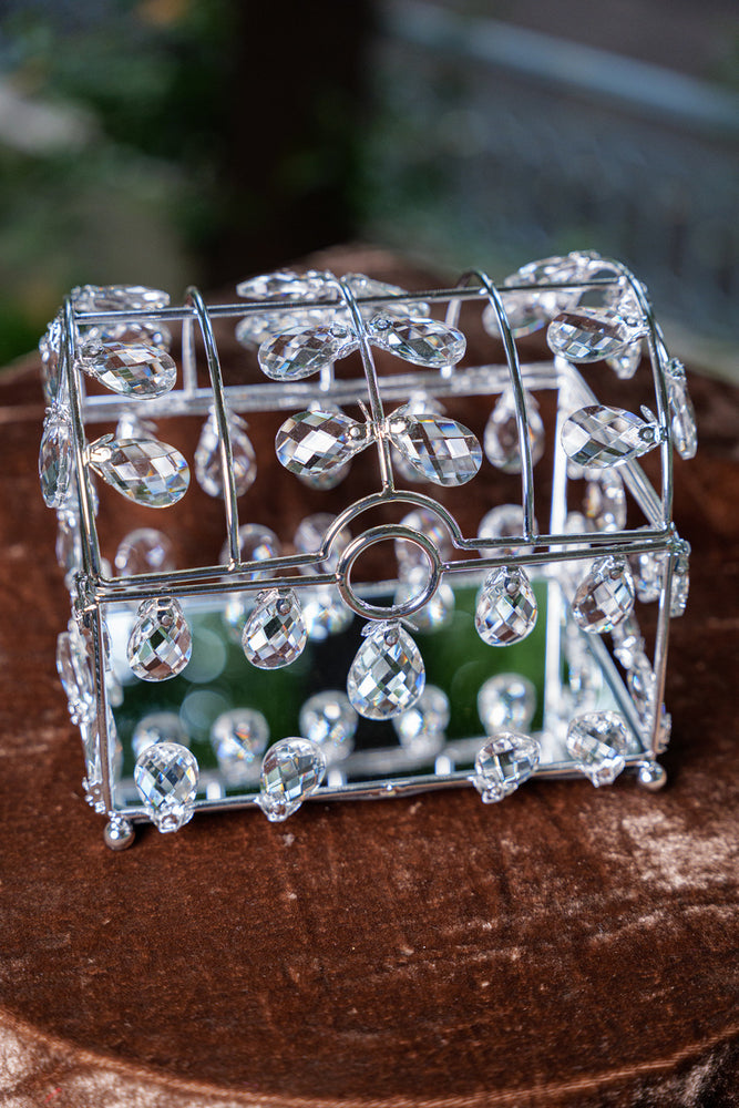 
                      
                        Silver Crystal Treasure Box
                      
                    