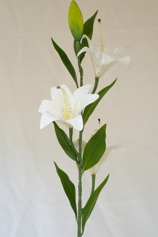 
                      
                        Soft Hues of Artificial Lilies
                      
                    