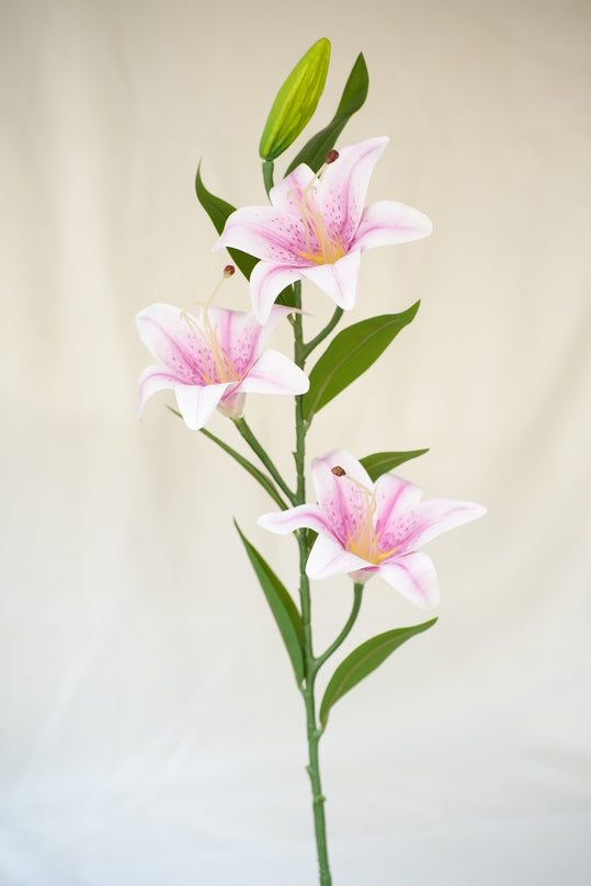 Soft Hues of Artificial Lilies