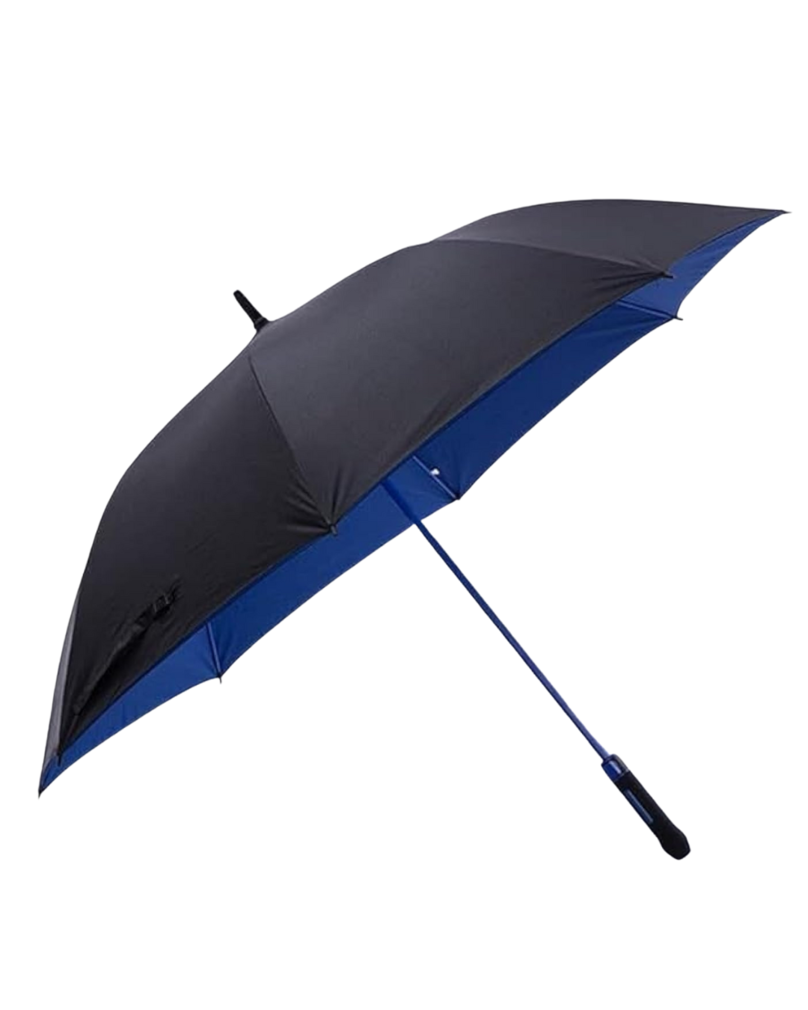 Windproof umbrella with strong frame